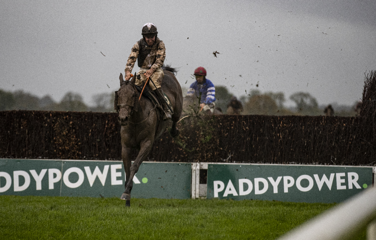 Chase fence